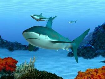 Dream Aquarium Screensaver Dekstop Wallpaper Quoteko