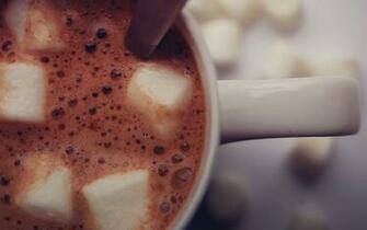HD Marshmallow Food Wallpaper HDwallsource