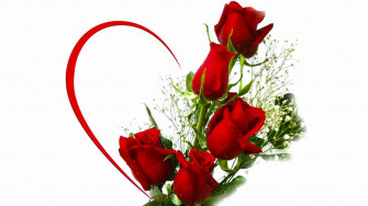 Love Rose Wallpaper S