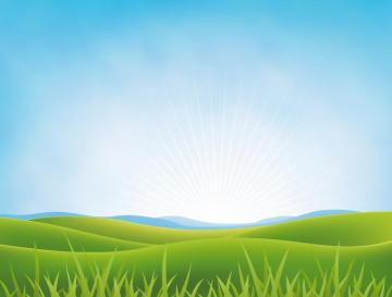 Summer Or Spring Meadows Background Vectors