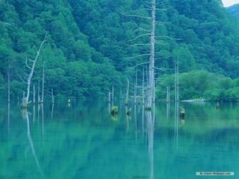 Nature Wallpaper And Background Desktop Nexus Image Big Data