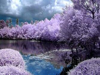 Spring Screensavers Wallpaper