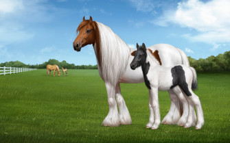 HD Horse Background Desktop Wallpaper