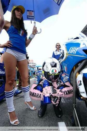 Pit Girls Pictures Motogp Grid