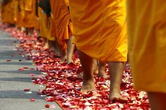 Monk People Walking On Red And White Flower Petals Image
