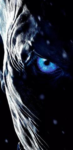 4k Wallpaper iPhone Animals