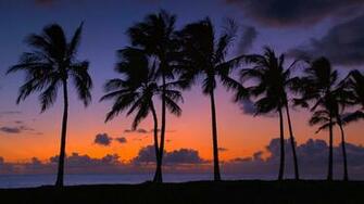 Hawaii Beaches Scenic Background Webshots Media Beautiful