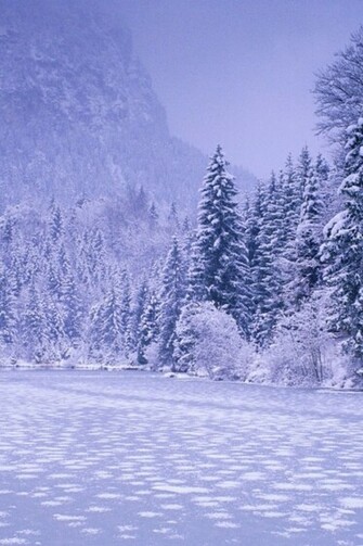 Winter Wallpaper Nice Paper Wall HD