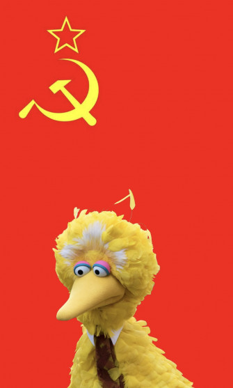 Billy O Neill On New Big Bird Wallpaper Goes Hard Feel
