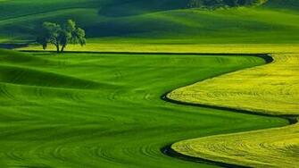 Full HD Nature Wallpaper