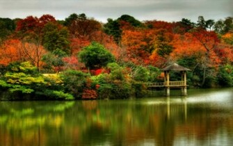 Beautiful Autumn Scenes Wallpaper