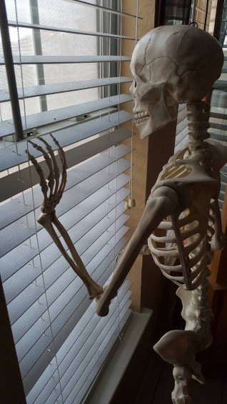 Top Skeleton Meme Wallpaper Full HD 4k To Use