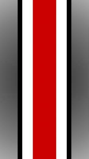 The Ohio State University Buckeyes Football Helmet Strip iPhone