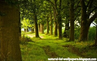 New Nature Beautiful HD Desktop Wallpaper High Resolution