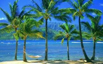 Url Loonder Index Php P Static Beach Wallpaper