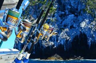 Best Sportfish Background