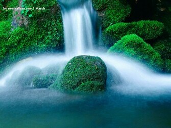 Back Gallery For Spring Wallpaper
