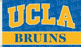 Ucla Logo Flag