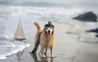 Dog With Sailor Hat On The Beach Wallpaper55 Best Wallpaper