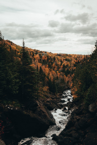 Green Trees Near River Under Cloudy Sky During Daytime Photo