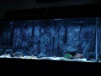 Pictures Image And Photos Diy Aquarium 3d Background For Fish