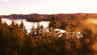 Forest Lake Wallpaper