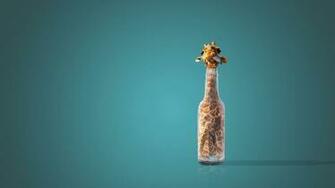 Giraffe Funny Face Wallpaper Wallpaperlepi