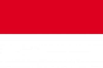 Photo Indonesia Flag Stripes