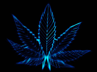 Cool Weed Wallpaper