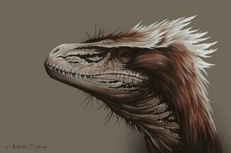 Best Utahraptor Wallpaper
