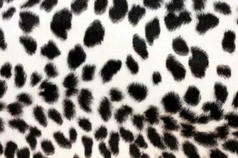 Black Cheetah Background Wallpaper In Hq