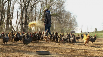 Southern Illinois Farmers Benefit From Community Supported