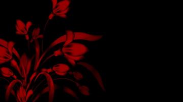 Bloody Flower Wallpaper By Jeshans For