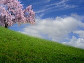 Beautiful Day Desktop Pc And Mac Wallpaper