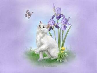 Cat And Butterfly Wallpaper Computer Screensavers Pinte
