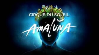 National Harbor For David S BirtHDay Cirque Du Soleil