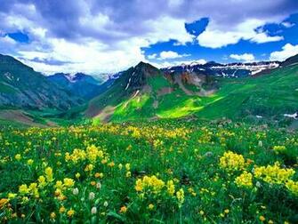Green Mountain Meadow Wallpaper