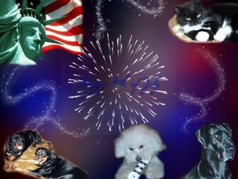 Mf July 4th Wallpaper Desktop