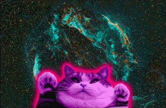Cosmic Cat By Technicallyderped