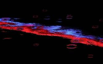 Neon Red Background