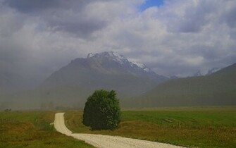 Wallpaper New Zealand Mountain Field Road Tree Fog