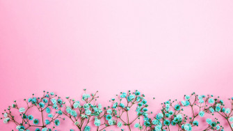 Baby Pink Wallpaper