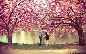 True Love Wallpaper Wonderful HD For