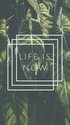 Graciegirl On Inspirational Quotes iPhone Plus