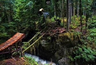 Portland Oregon Forest Bike Desktop Wallpaper Sports Goodwp