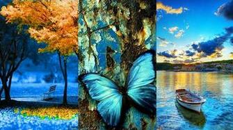 Samsung Wallpaper Mobile Popular Pictures