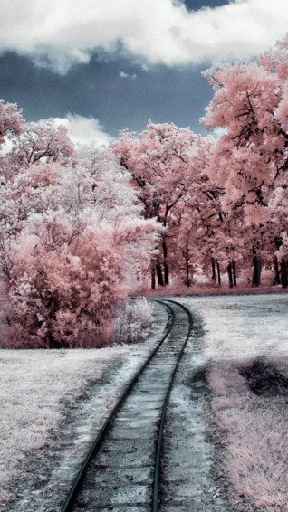 Cozy Winter Wallpaper For iPhone In