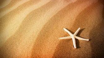 Beach Sand Starfish Wallpaper In Chainimage
