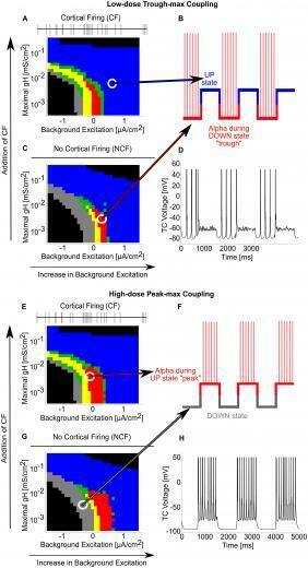 Plos Computational Biology Thalamocortical Control Of Propofol
