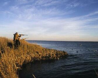 Duck Hunting Desktop Wallpaper